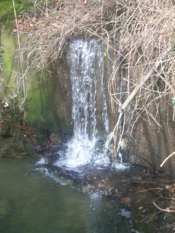 Agriturismo Gelso Castellana Sicula Екстер'єр фото
