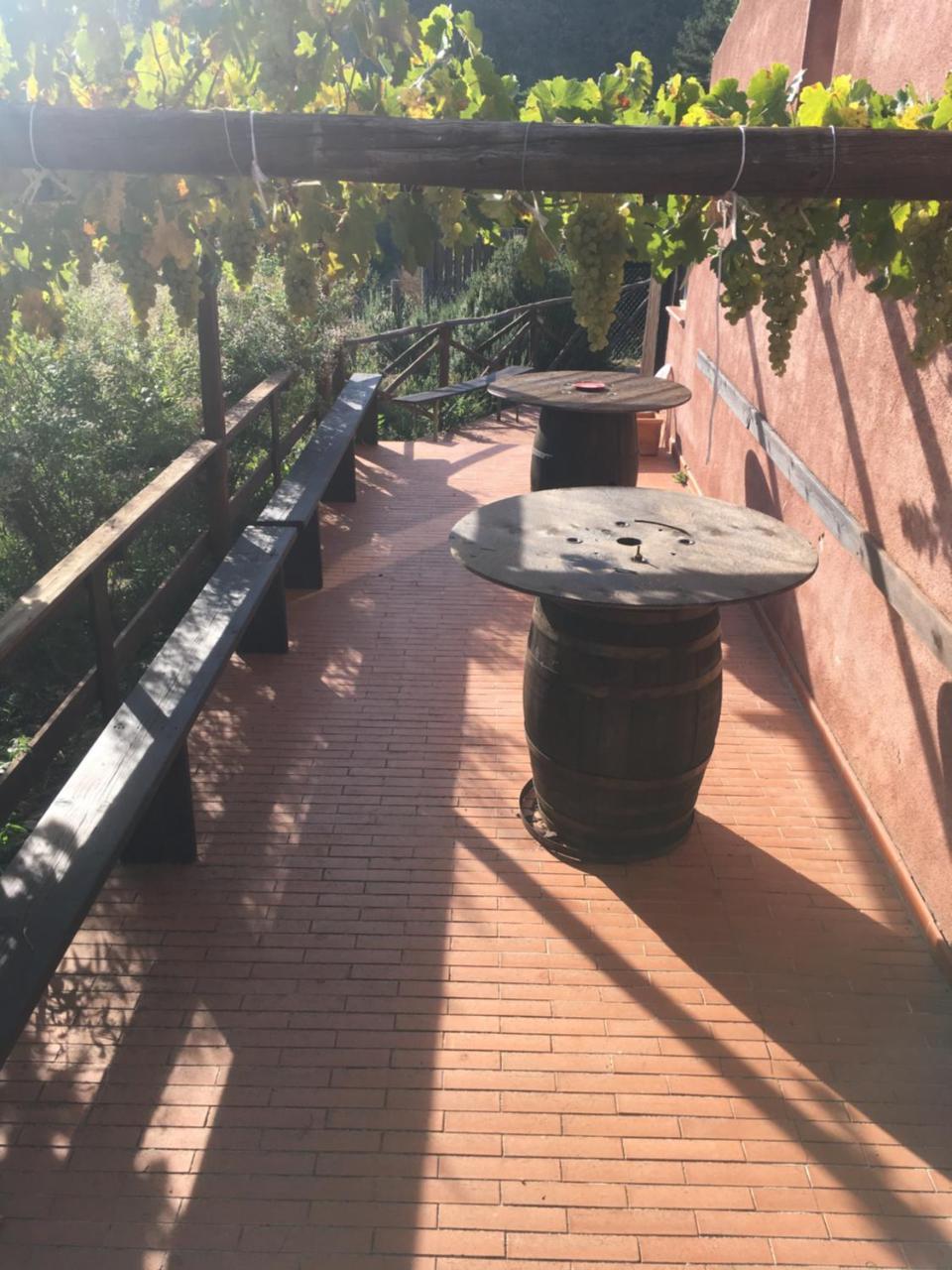 Agriturismo Gelso Castellana Sicula Екстер'єр фото