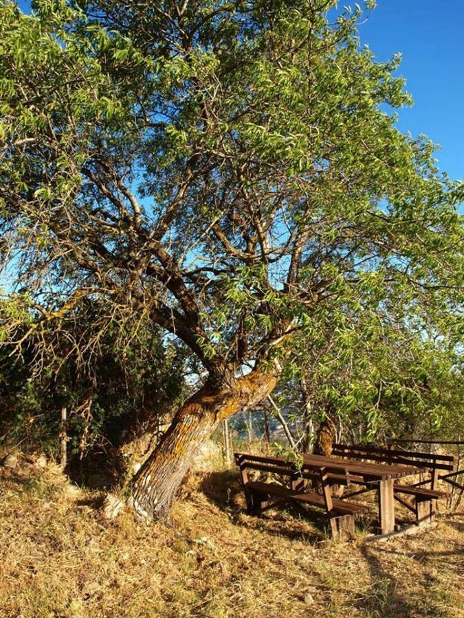 Agriturismo Gelso Castellana Sicula Екстер'єр фото